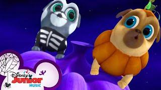 Bingo and Rolly's Halloween Songs  | Compilation | Puppy Dog Pals | Disney Junior