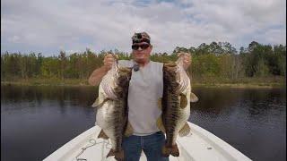 TOP 5 BIGGEST BASS EVER CAUGHT! (compilation)