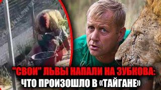 Трагедия в парке Тайган лев перегрыз горло самому владельцу  Олег Зубков в тяжёлом состоянии под ИВЛ