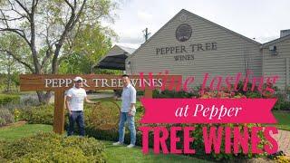 WALKING AROUND THE WINERY||POKOLBIN NSW AUSTRALIA