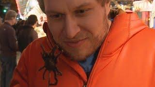 Eating a King Spider | Furious Pete