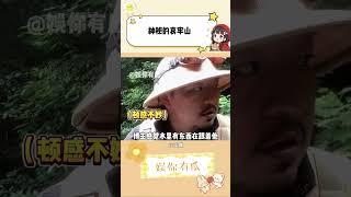 顶级颜料师，独自一人勇闯哀牢山#哀牢山  #万万没想到 #山取 #哀牢山到底有多凶险