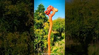 Made a wooden stick for grandma 🩼️mini wood toy- woodworking art skill/wood hand #shorts