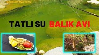 Tatlı Su Balık Avı - Yakala Ve Pişir - Ordu Balık Avı 2022