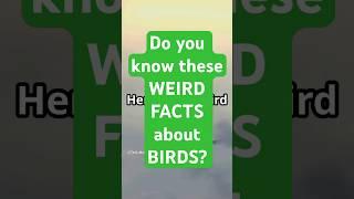 6 Weird Facts about Bird You Won't Believe! #birdslover   #factsaboutbirds   #facts