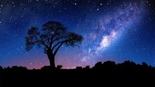 Super Relaxing White Noise Sounds for Sleeping