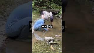 Что такое образование?