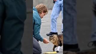 Austin Butler & Tonic the Cat, Filming Scene for ‘Caught Stealing’ in NYC