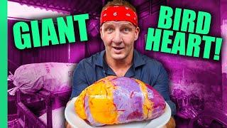 Can You Eat That?? World’s STRANGEST Animal Organ Dishes!! | Full Series (Sonny & Calvin)