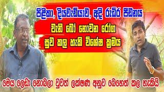 ලෙඩා නොබලා ලක්ෂණ අනුව දරුණු ලෙඩ වලට වෙදකම් කල හැකි විශේෂ ක්‍රමය | Siwhela TV | Sampath Bandara