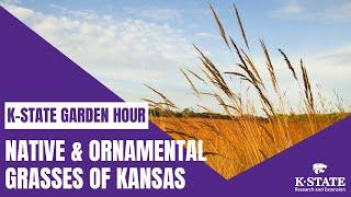 K-State Garden Hour: Native & Ornamental Grasses of Kansas