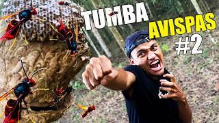 Tumba Avispas #2  *Con El Puño* - Andrés WG