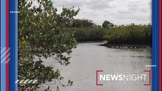 More Funds Awarded for Florida Water Quality Projects | NewsNight #florida #water #environment