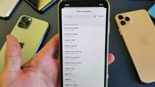 iPhone 11 / 11 Pro Max: How to Change Language (Stuck in Chinese, Korean, etc?)