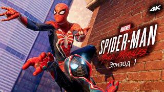 Прохождение Marvel Spider-Man Miles Morales / Только сюжет / Эпизод 1 - Био-энергия [4K] #1