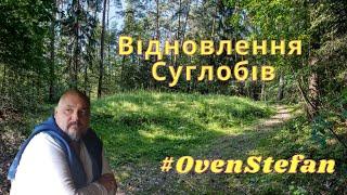 #OvenStefan: відновлення суглобів...