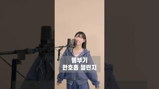 햄부기햄북 햄북어 햄북스딱스함부르크햄부가우가햄비기햄부거 햄부가티햄부기온앤온을 차려오거라