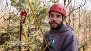 Invasive Species Threatens Adirondack Forests: Hemlock Wooly Adelgid