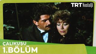 Çalıkuşu 1. Bölüm