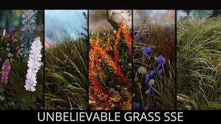 IT'S CAME BACK AND IT'S BETTER - Skyrim SE Mods - Unbelievable Grass SSE