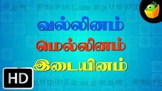 கசட தபற  | செல்லமே செல்லம் | குழந்தைகளுக்கான தமிழ் பாடல்கள்