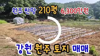 [1307] #원주싼땅매매#횡성토지매매 [횡성농막][횡성체류형쉼터][횡성토지매매][횡성전원주택매매]