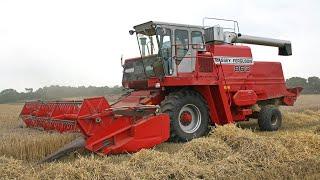 Classic 1980s Massey Ferguson 865 combine | Combining spring barley