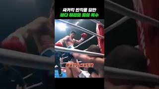 싸커킥 맞은 바다 하리의 복수