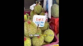 新加坡的榴莲自助几十块实现榴莲自由