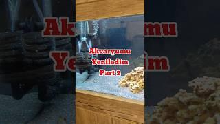 Akvaryumu Yeniledim Part-2