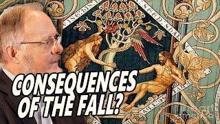 What did Adam's Fall Cause? Pain in Childbirth? Death? Disease? ft. Iain Provan