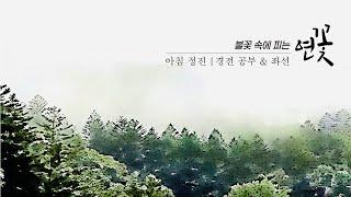 불꽃 속에 피는 연꽃 | 2025. 6.15. (일) 아침 정진 | 동림 선원 대중 스님과 함께하는 좌선 & 요가 명상   | Meditation Daily Guided