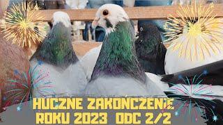 Giełda Zwierząt Lublin 30.12.2023 Gołębie Kury Koguty Kaczki Bażanty Króliki Papugi Rybki Akwariowe