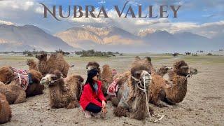 The Desert in the Himalayas | Nubra Valley 