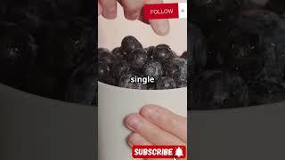 Blueberry Bonanza: Fun Facts You Didn’t Know! #hackify #funfacts