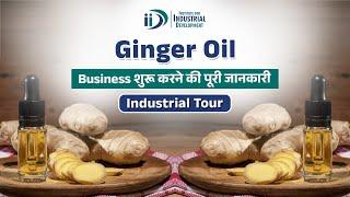 Ginger Oil Business | Ginger Oil Making Process | Business Idea |