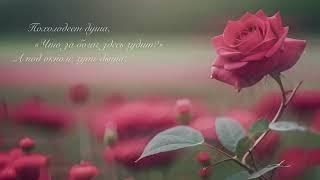 Lev Adamyan - Миллион алых роз (COVER)