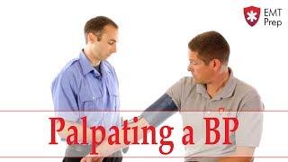 How to Palpate a Blood Pressure - EMTprep.com
