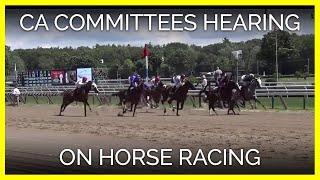 CA Senate & Assembly Govt. Organization Committees on Horse Racing (Excerpts)