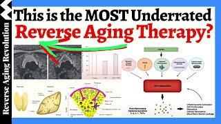 THIS is the MOST Underrated Reverse Aging Therapy?  Reversed 8 Years Biological Age In A Year!