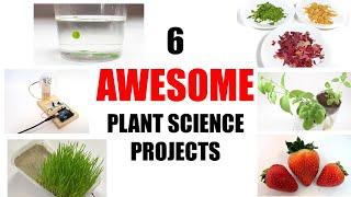 10 Awesome Plant Science Projects