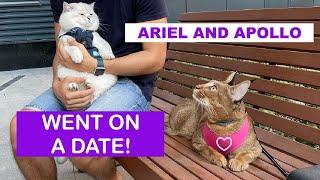 Ariel Caracat and Apollo on a date