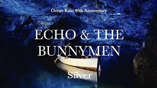 Echo & The Bunnymen Silver Official Video