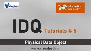 #5 Physical Data Object(PDO) Overview - IDQ |  Informatica Data Quality Tutorials | Visualpath