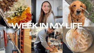 WEEK IN MY LIFE  In my winter arc!! Data analyst promotion updates, cooking class, productive week