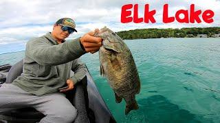 Summer Bass Fishing On Elk Lake In Traverse City Michigan!