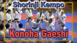 Shorinji Kempo, tecniques JUHO. Konoha Gaeshi. Sensei Kawashima. 少林寺 拳法.