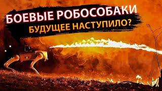 Боевые робособаки – будущее наступило?