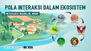 POLA INTERAKSI DALAM EKOSISTEM