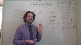 Arabic Grammar: 3. Hollow Verbs in Jussive